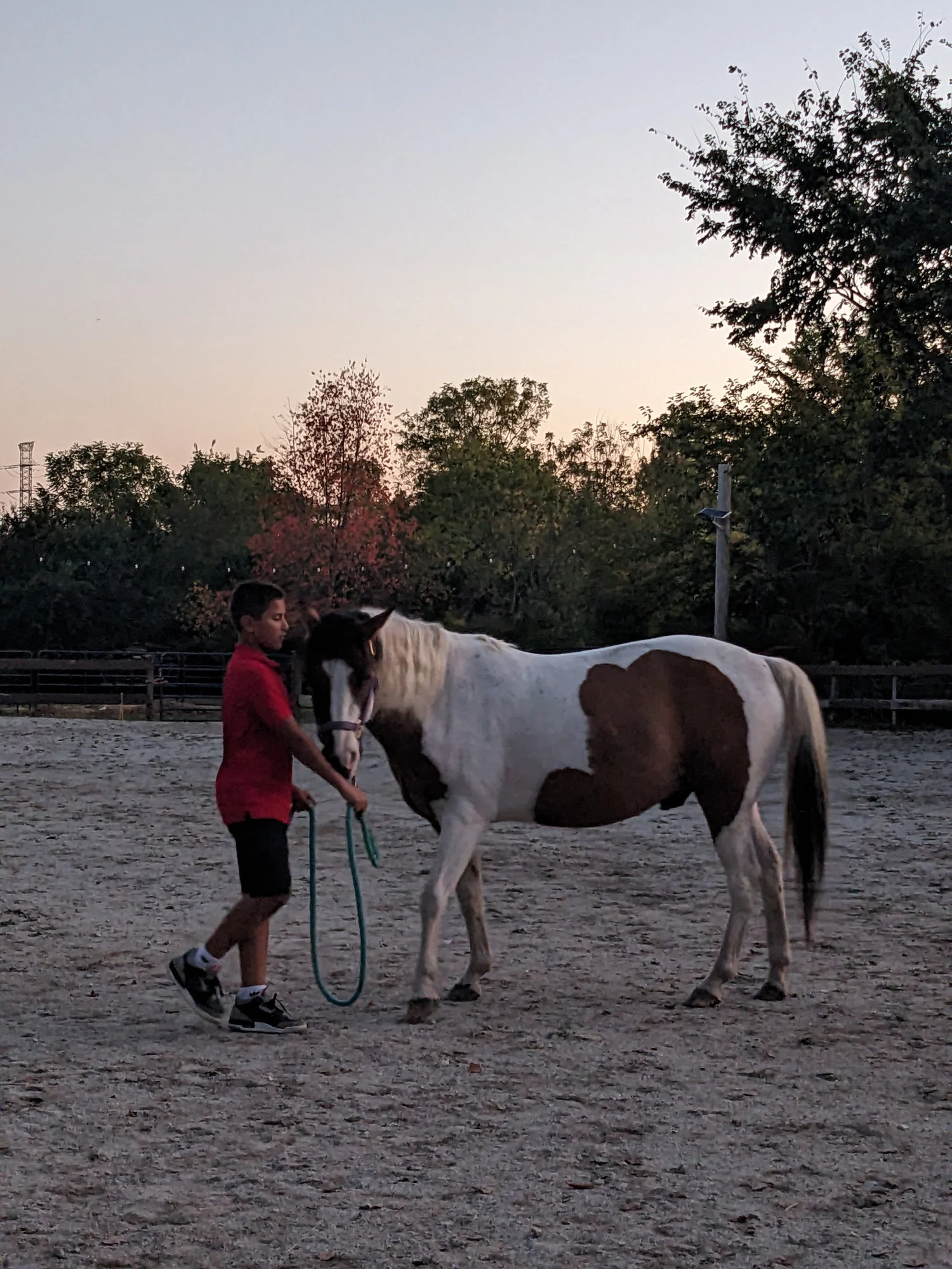 Volunteer | Get Involved Today — HHH Ranch
