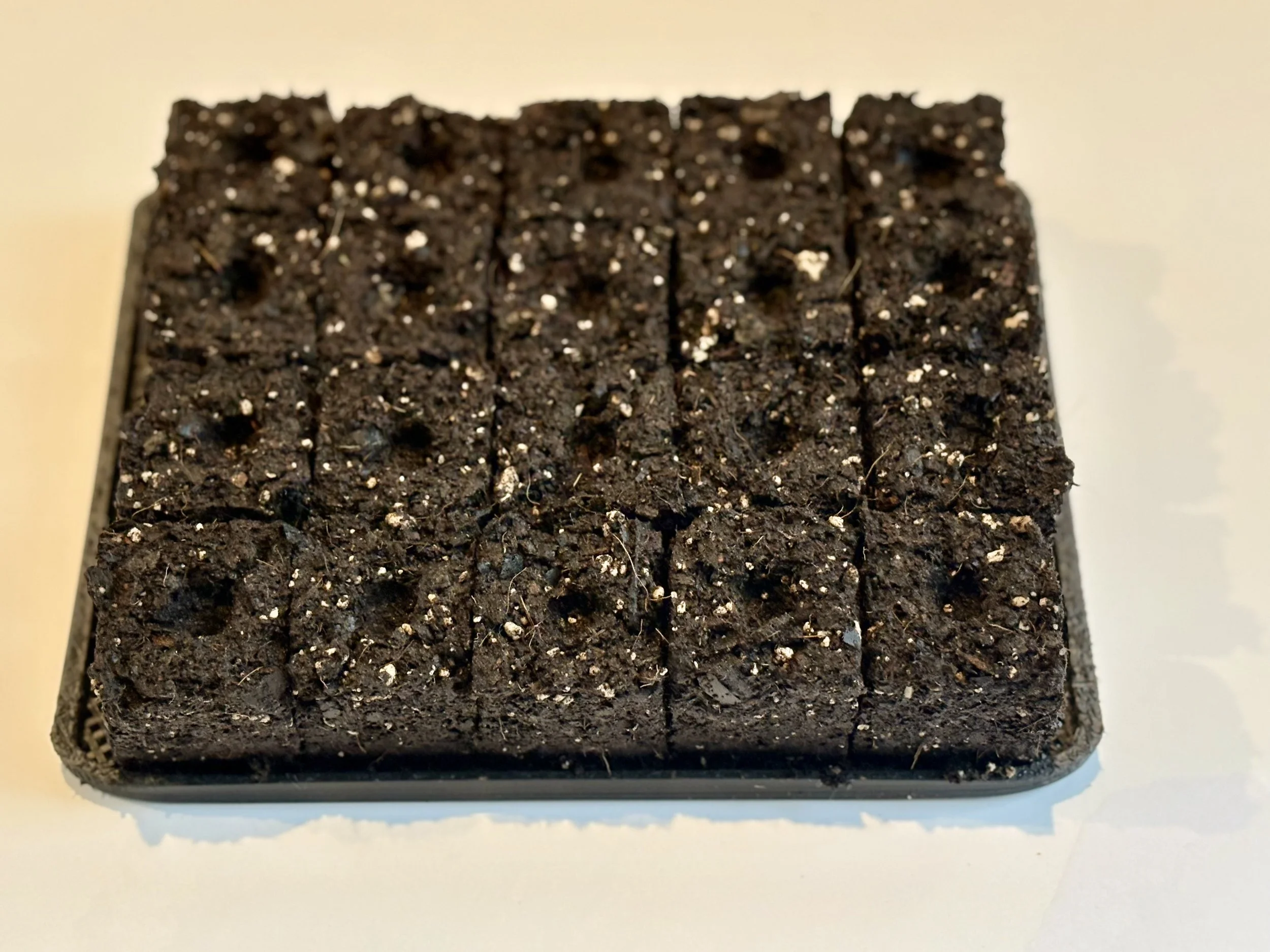 Best Soil Blocking Tools for Beginners: Complete Starter Guide