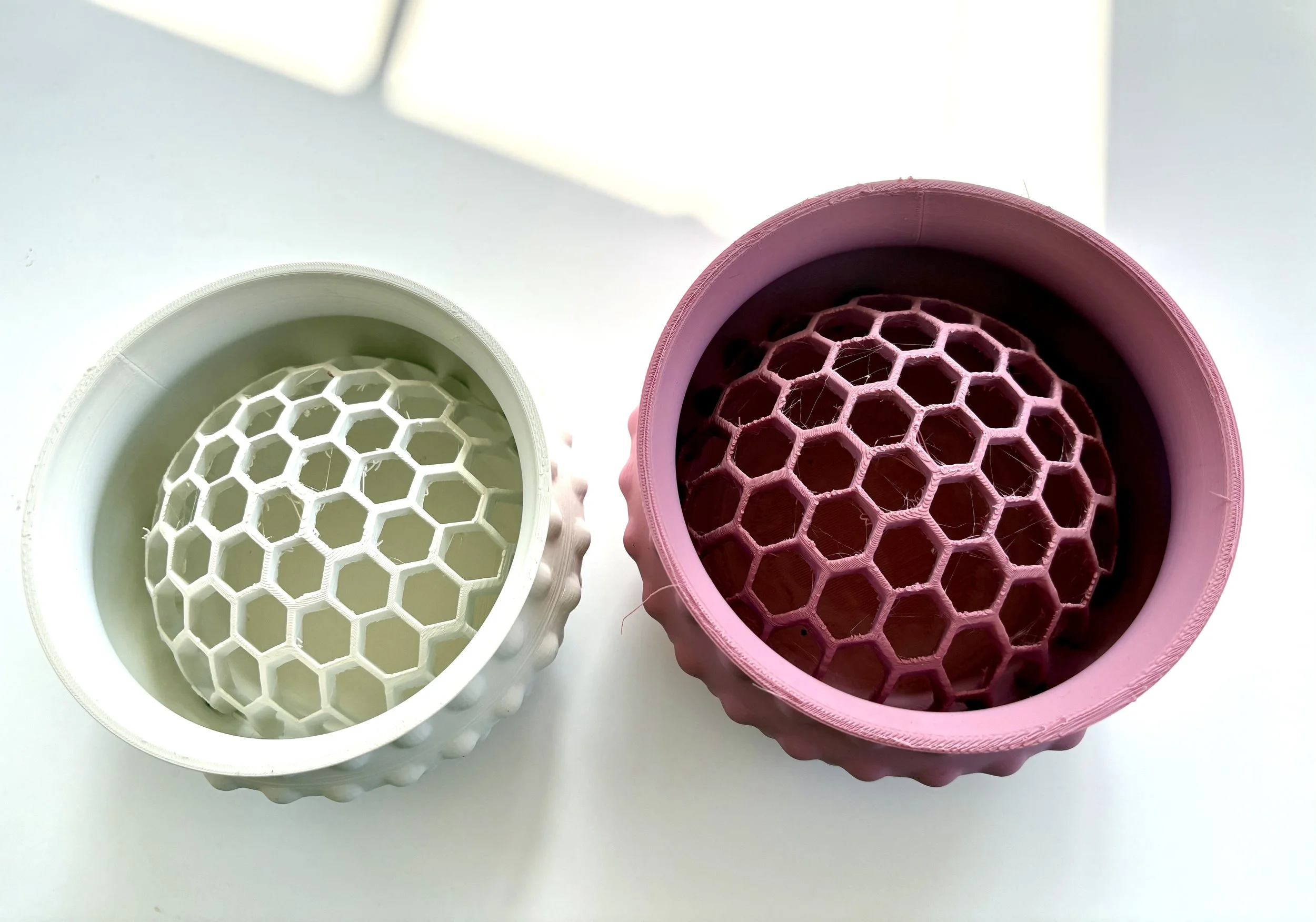 Best Flower Frogs for Beginners: How to Choose the Right One