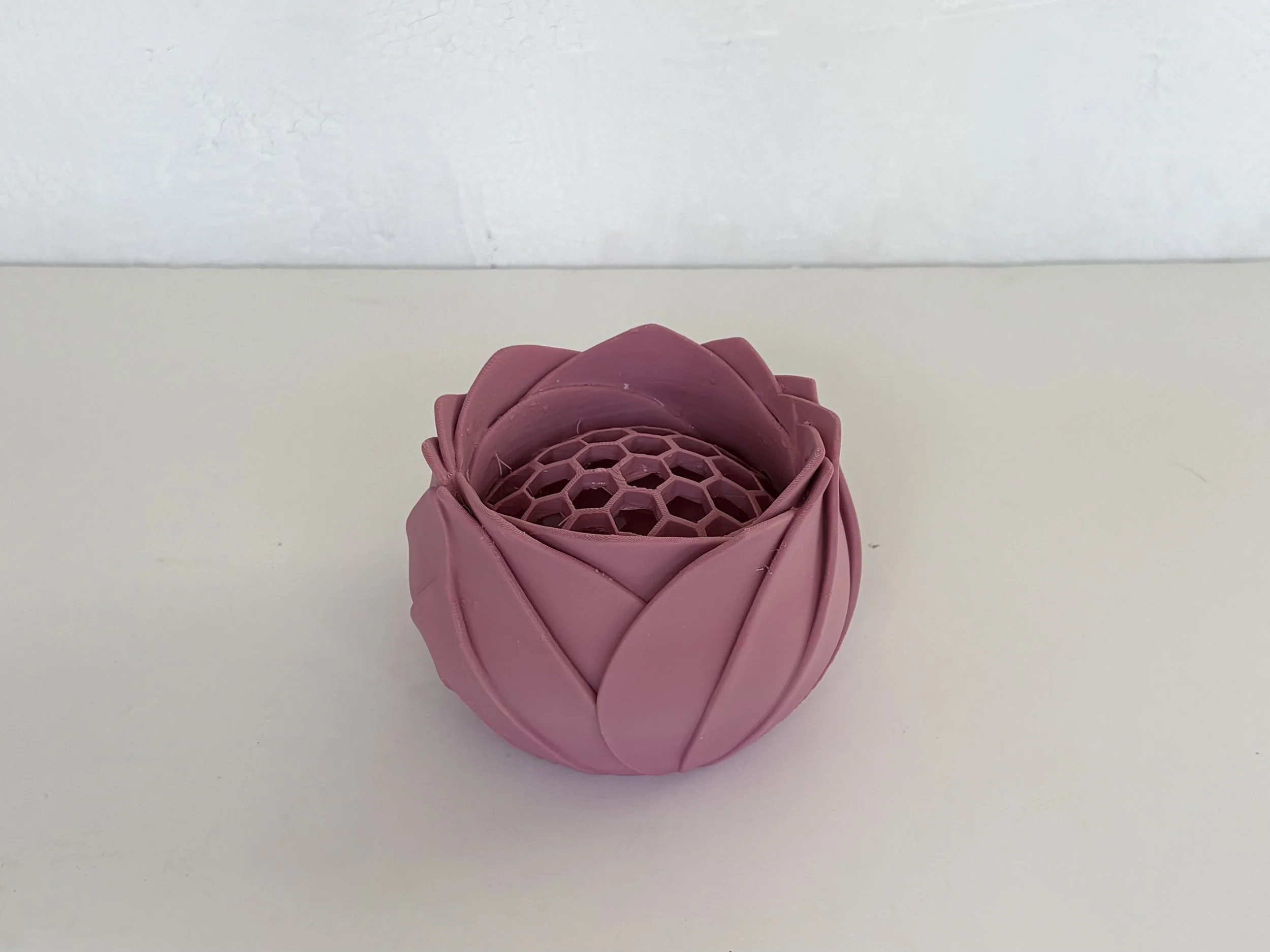 Best Flower Frogs for Beginners: How to Choose the Right One