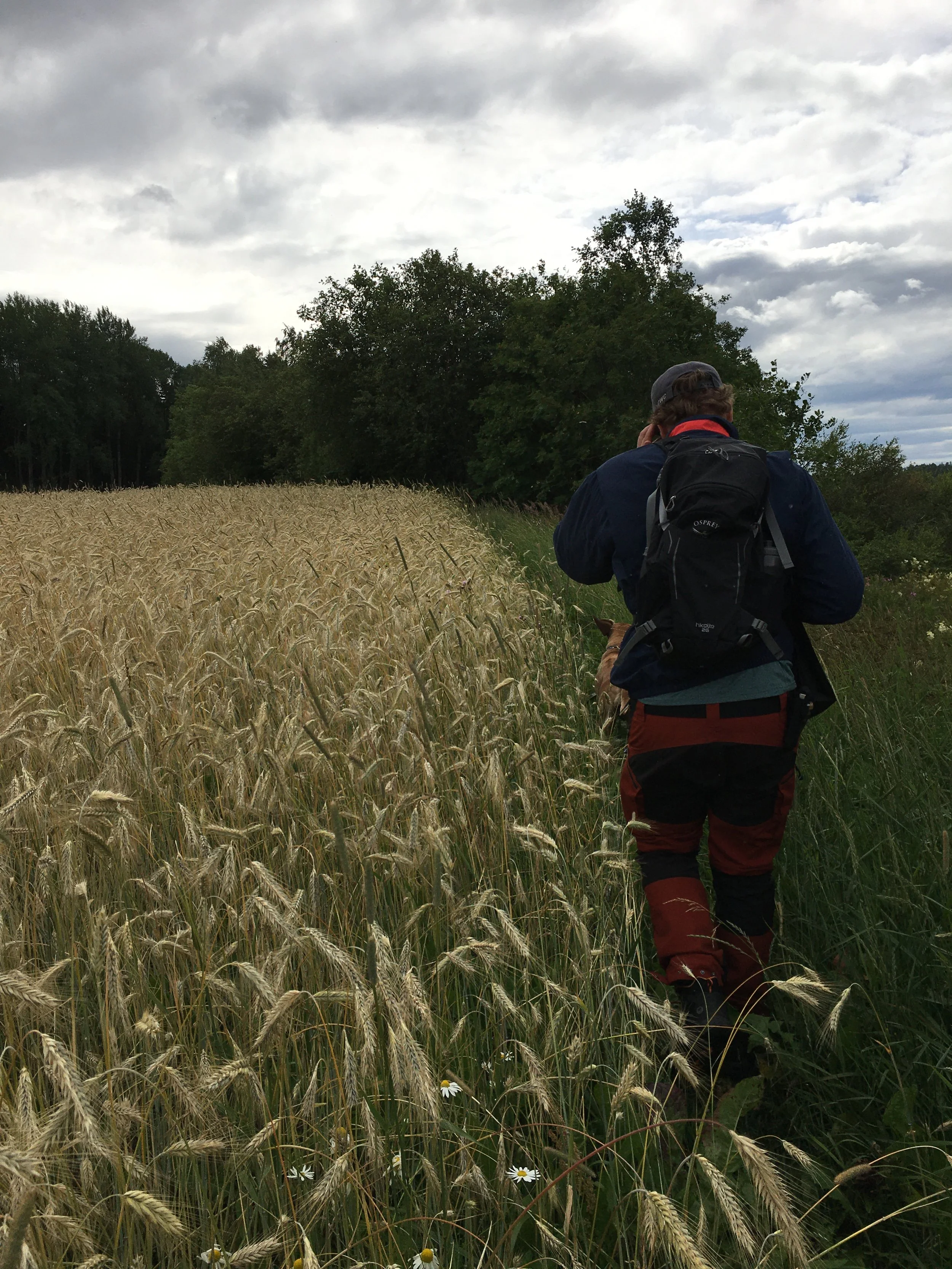 Lamminsuon luontopolku