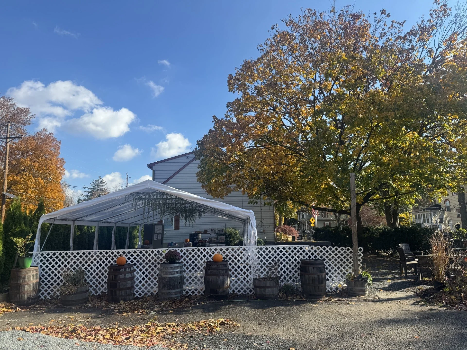 outdoor tent in fall-min.jpg