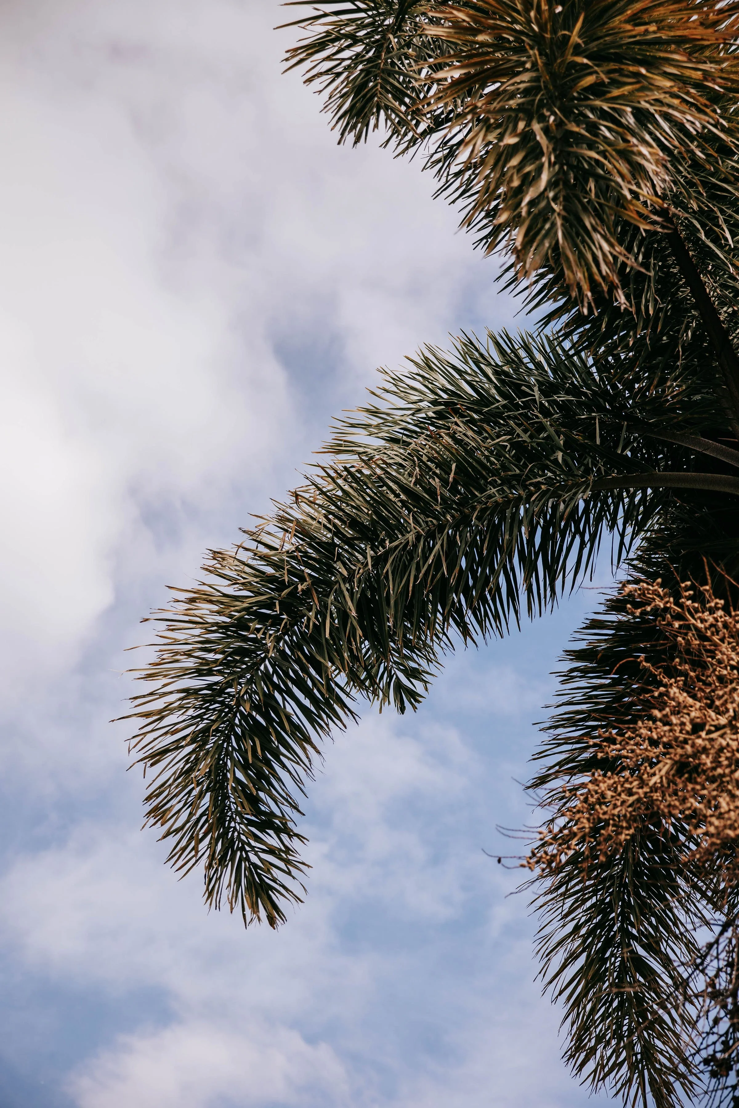 You’re Eating Healthy… So Why Do You Still Feel Bloated, Tired, and Off? (Fort Myers + SWFL Guide)