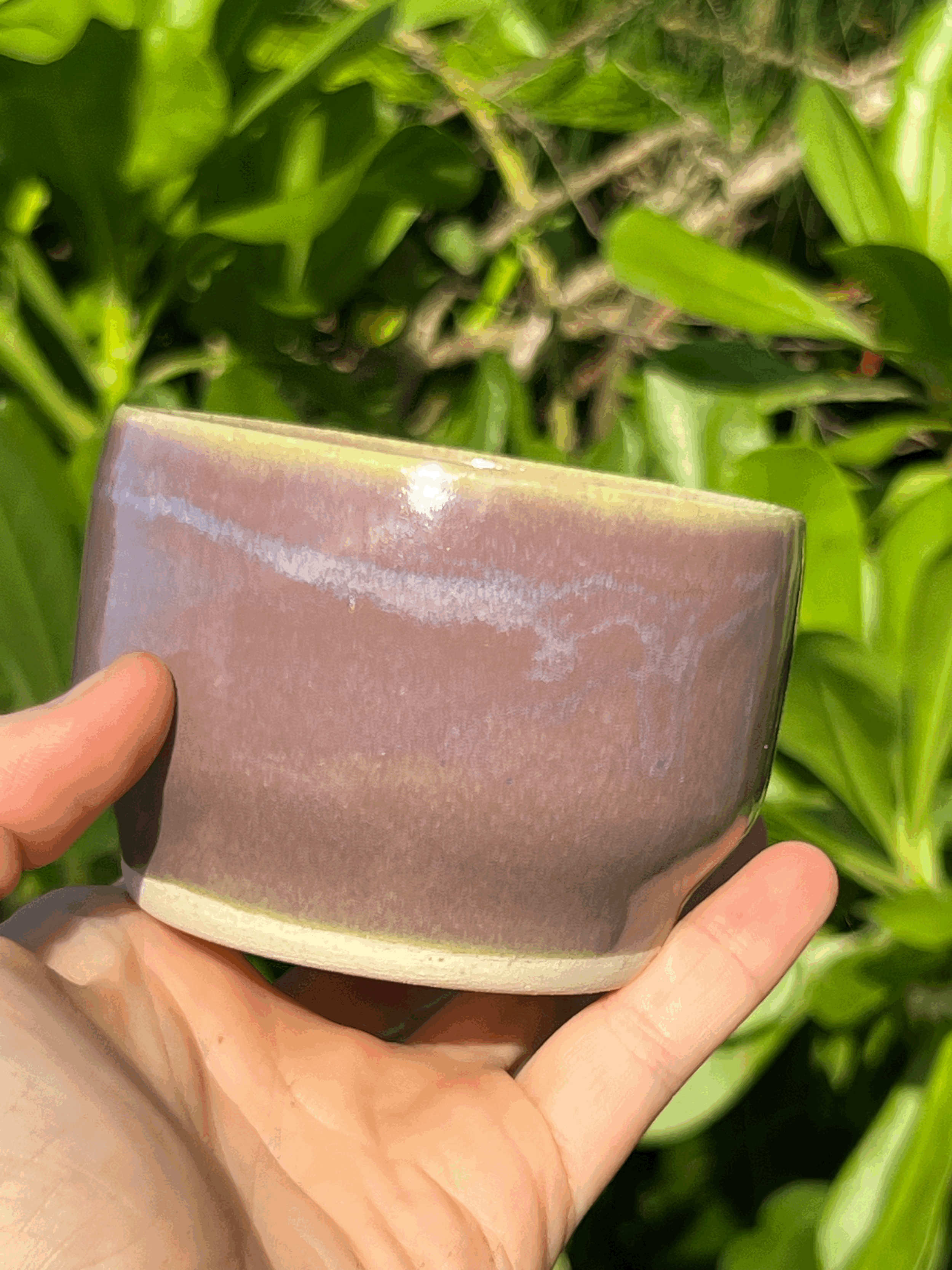 Lavender Cup