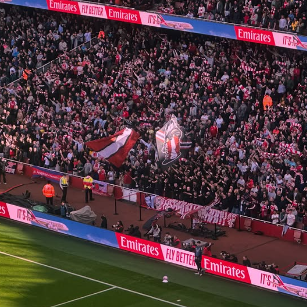 Crowd of soccer fans at a stadium, some waving flags, with advertising banners along the sidelines.