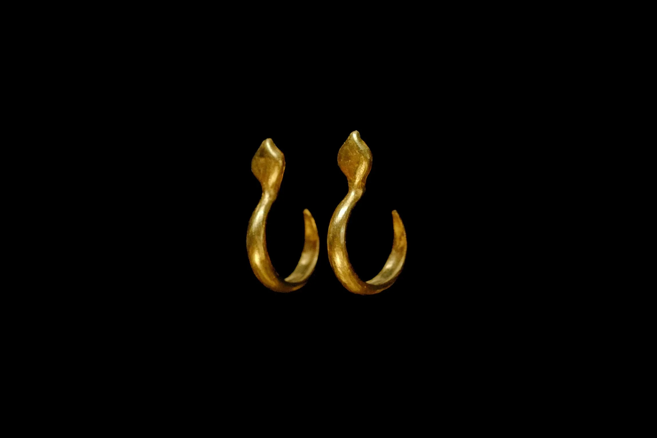 Small snake hoops side view.jpg
