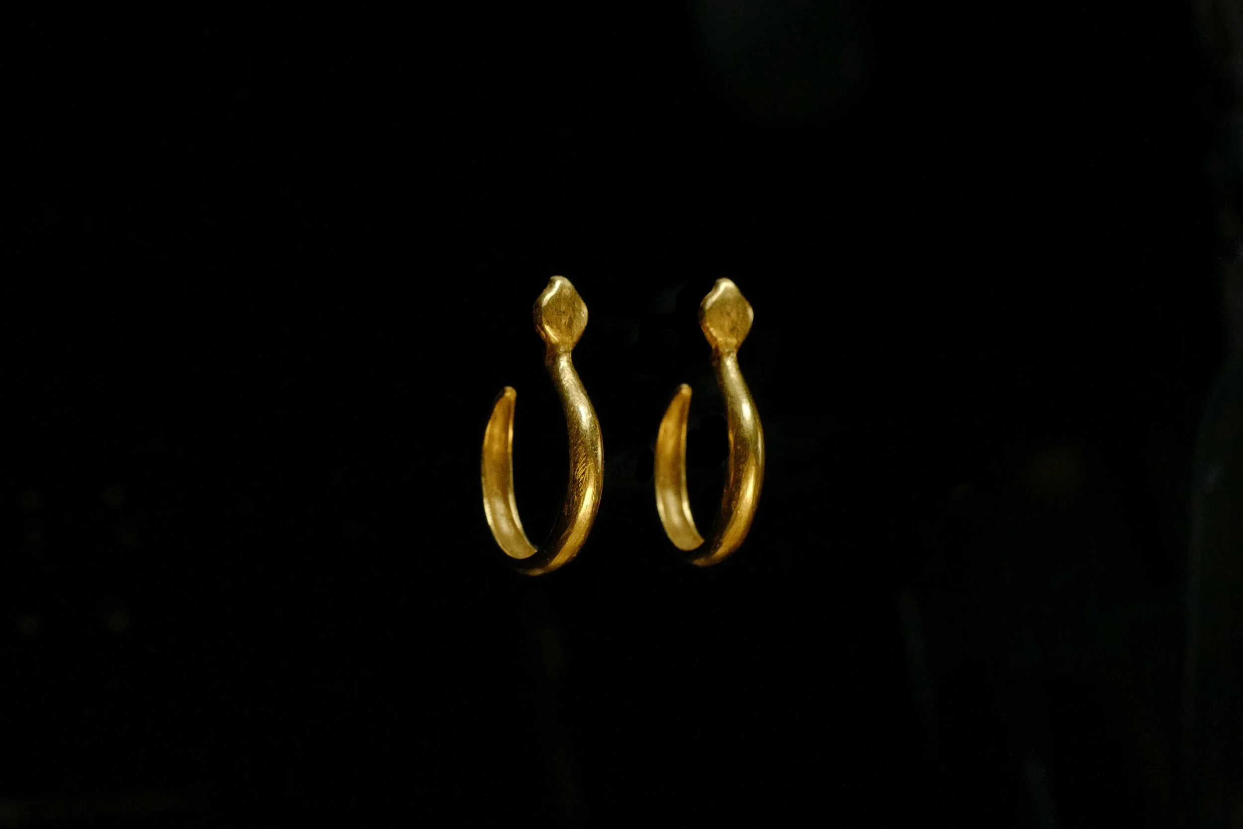 Large Snake hoops side.jpg