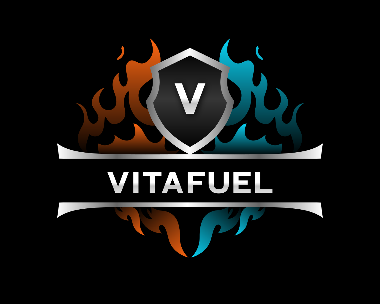VitaFuel