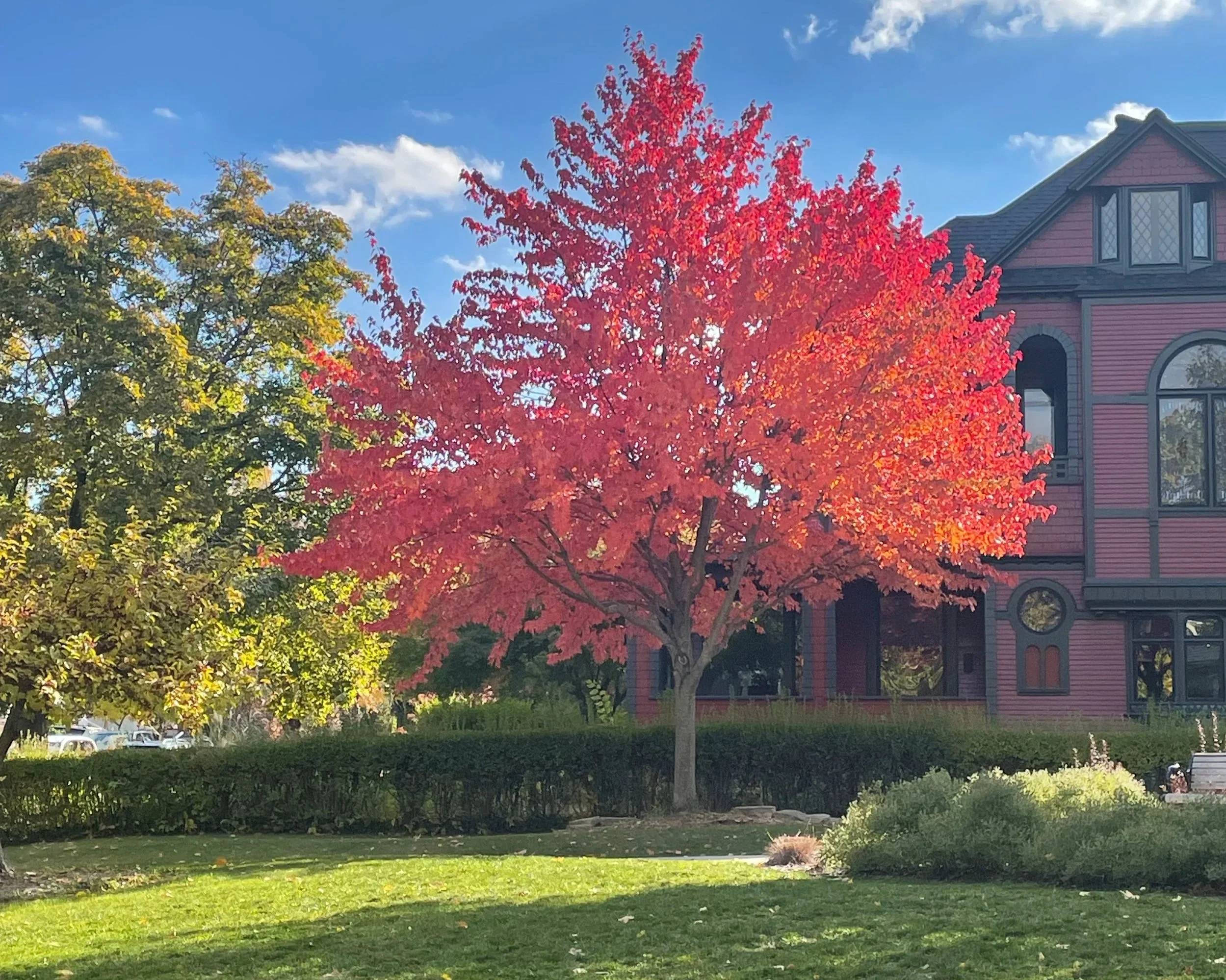 What is a Therapist? part 2