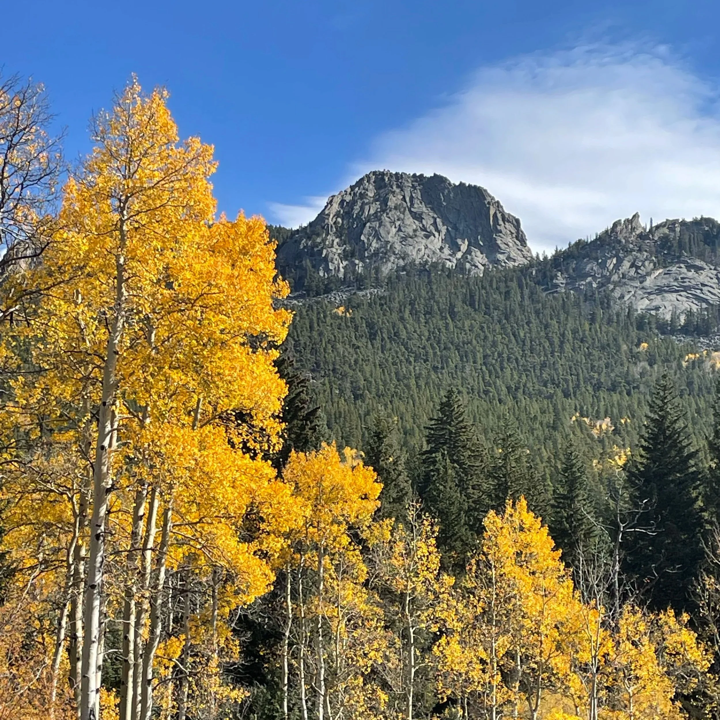 Autumn landscape with yellow and orange trees in foreground, green pine trees in middle ground, and rocky mountain with sparse trees in background under a blue sky with some clouds.