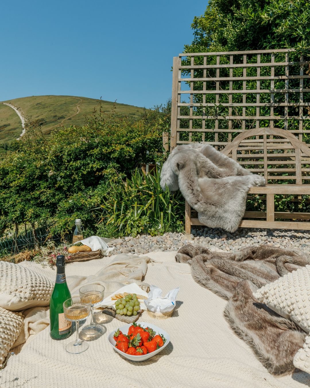 Summer Campaign imagery for Dorset Cottage Holidays, by the creative Dorset marketing agency, Salt and Signal.