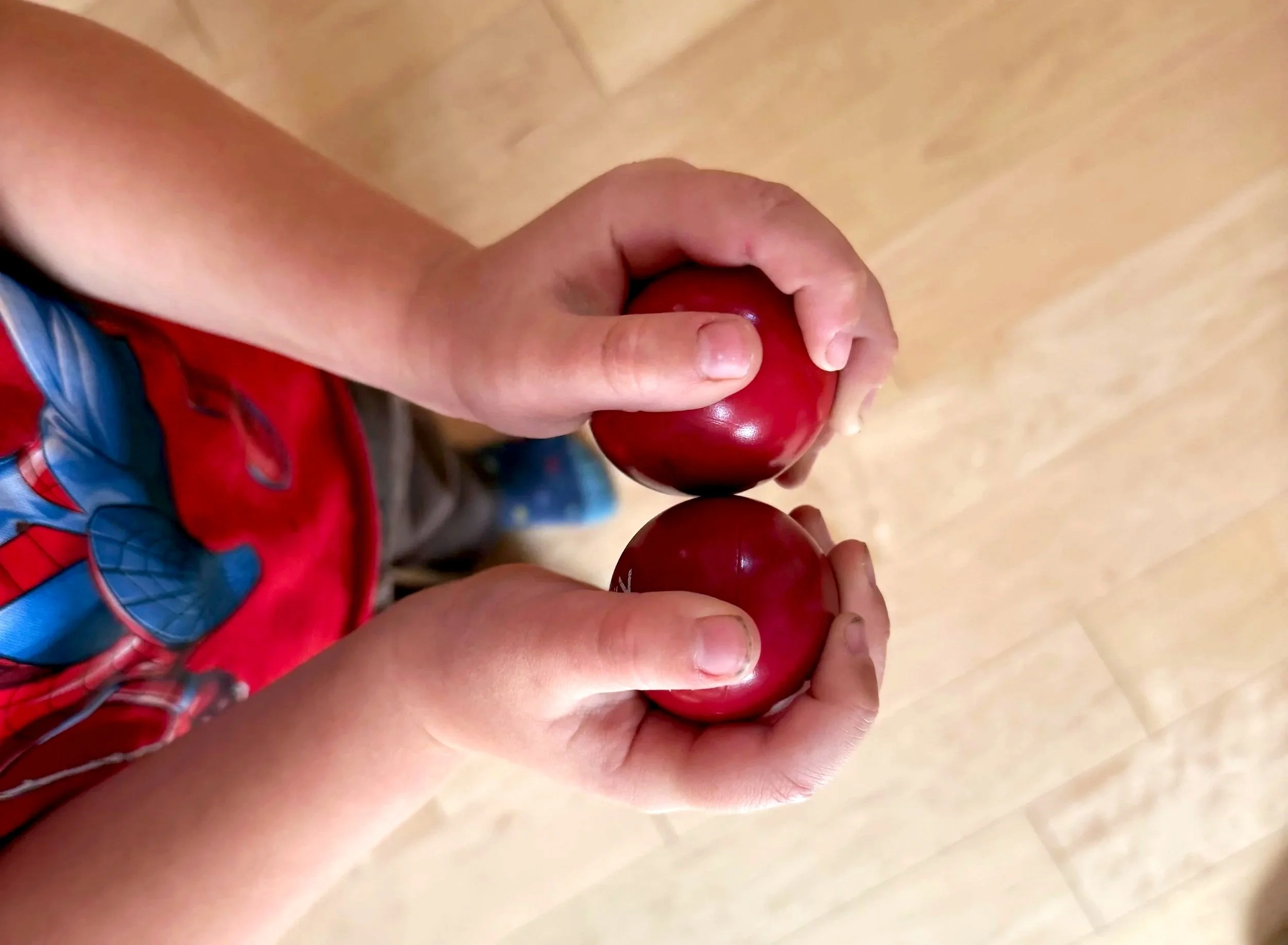 The hands of a child wearing a red shirt hold red egg shakers above a hardwood floor.