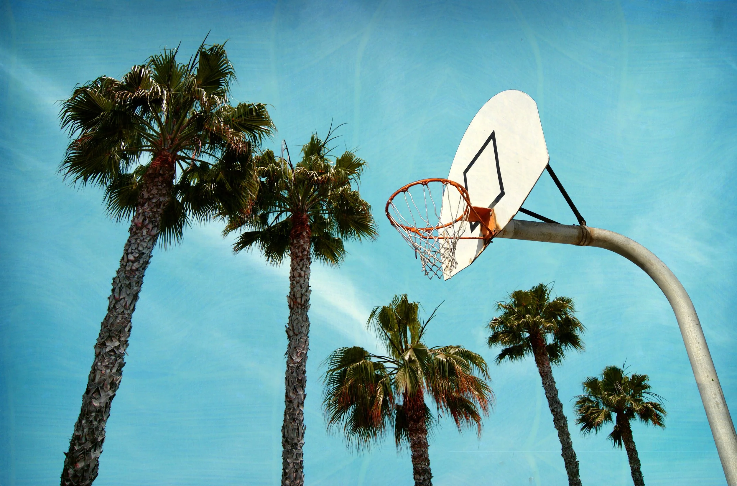 A basketball hoop with a backboard, set against tall palm trees and a bright blue sky.