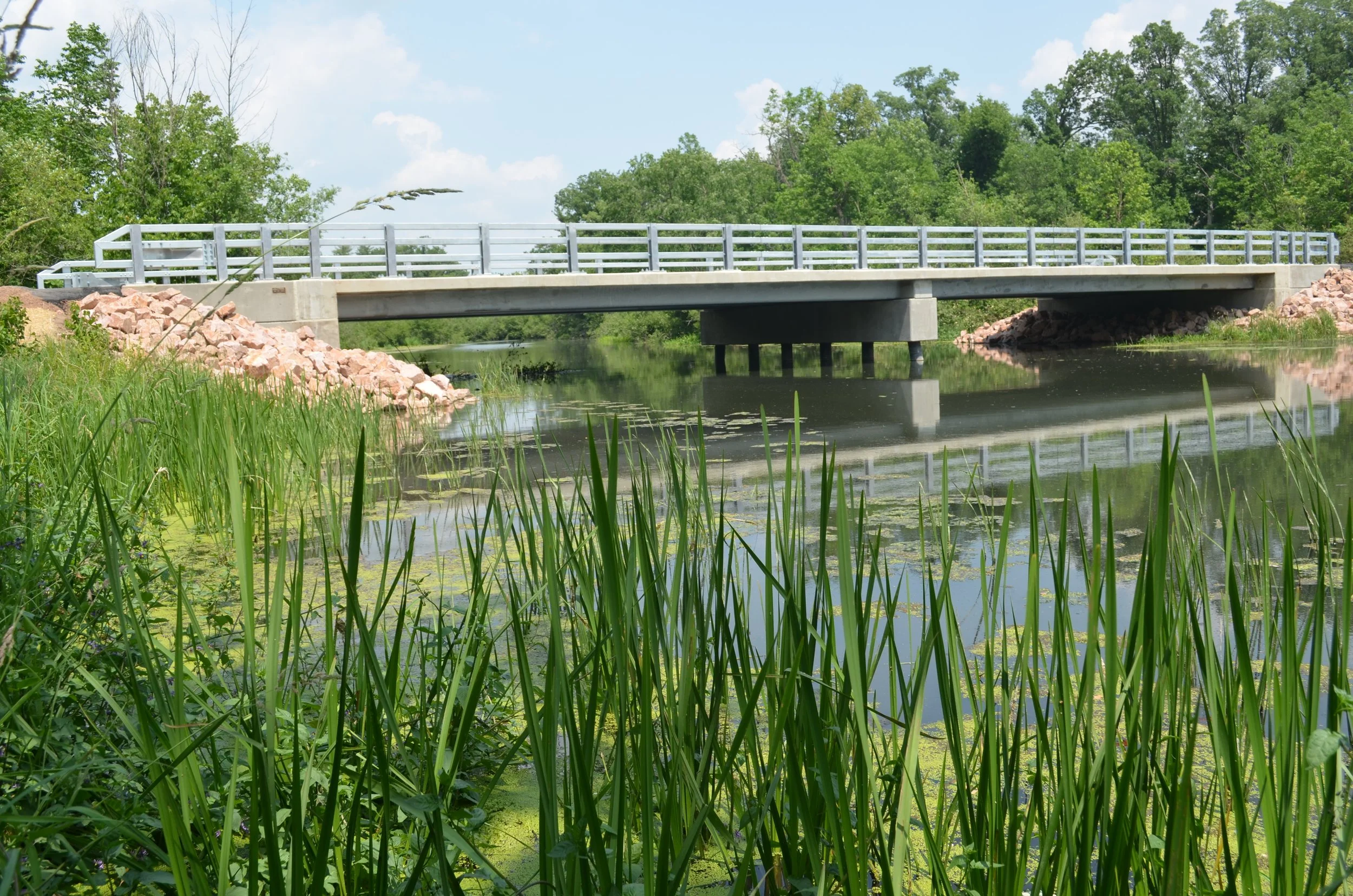 A concrete bridge over a small body of water with green plants and trees around, and a blue sky with white clouds overhead.