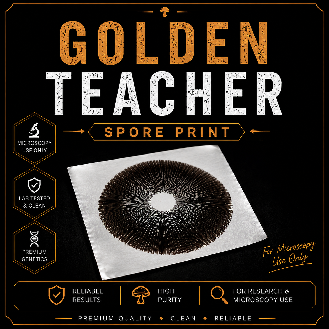Golden Teacher Cubensis spore print on sterile foil for microscopy and taxonomy research