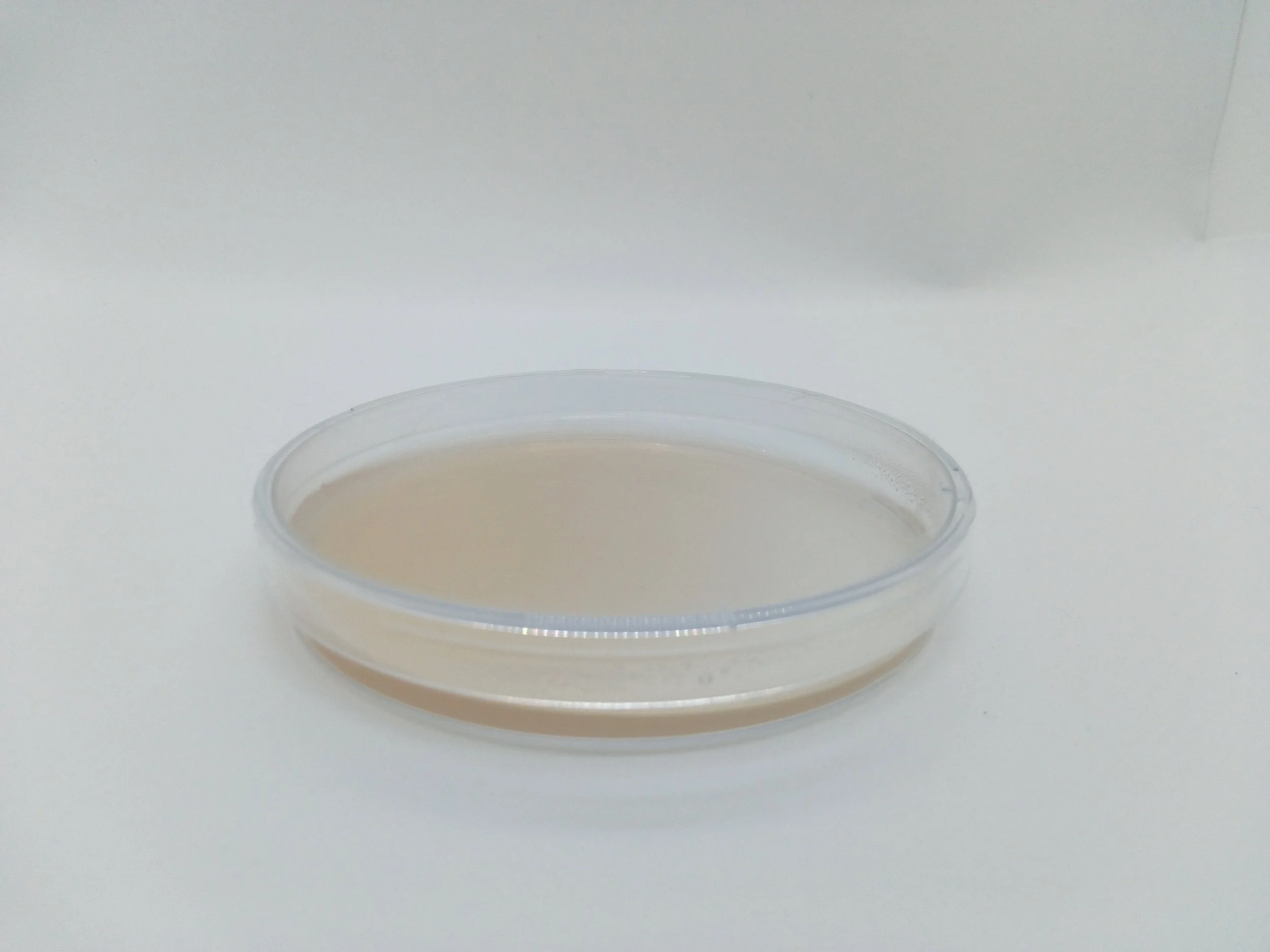 Pre poured Agar/LME petri dish