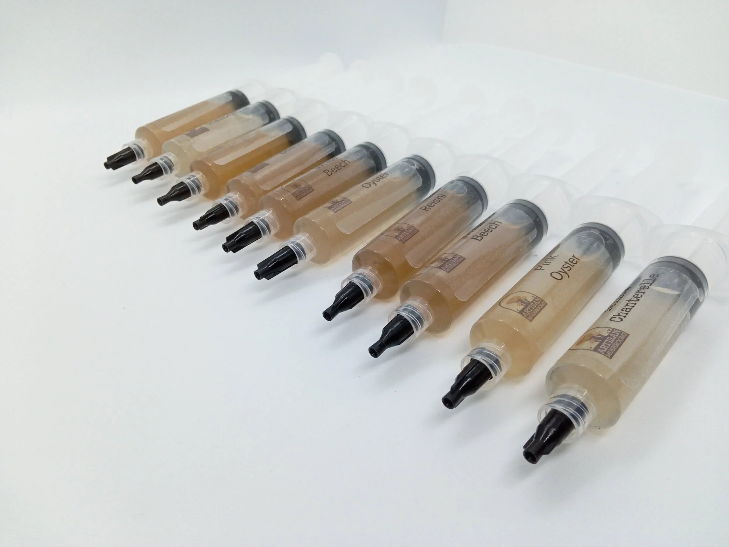 10 Mushroom Liquid Cultures