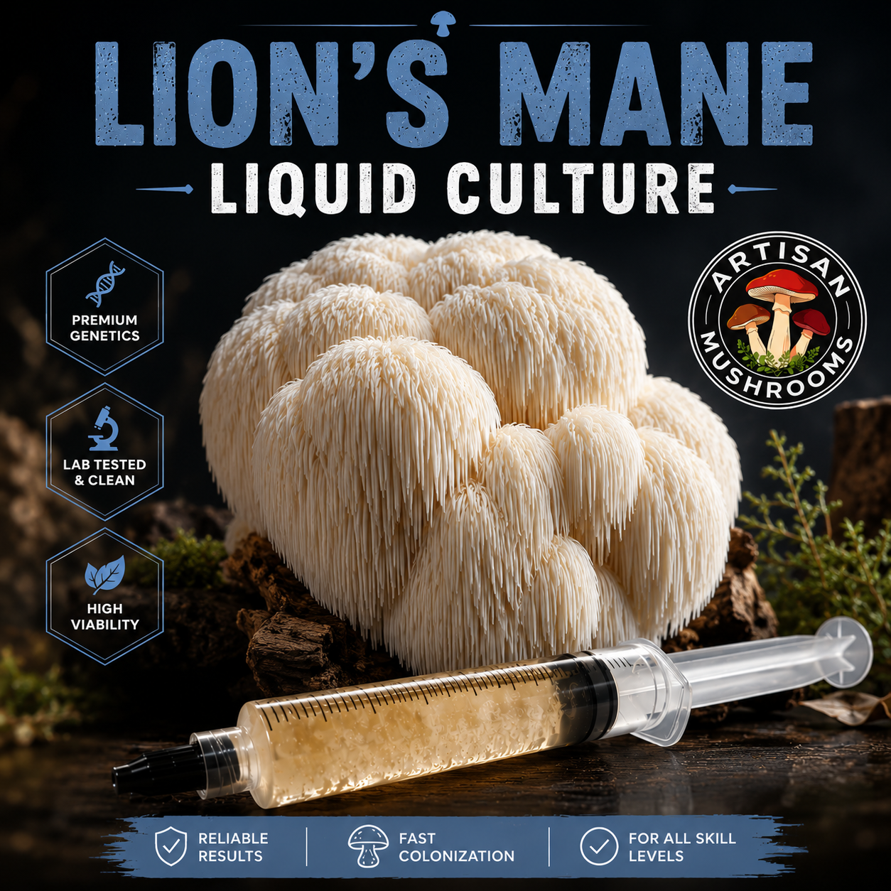 How to Grow Lion's Mane Mushrooms in Ireland Using a Ready-to-Inoculate Grow Bag