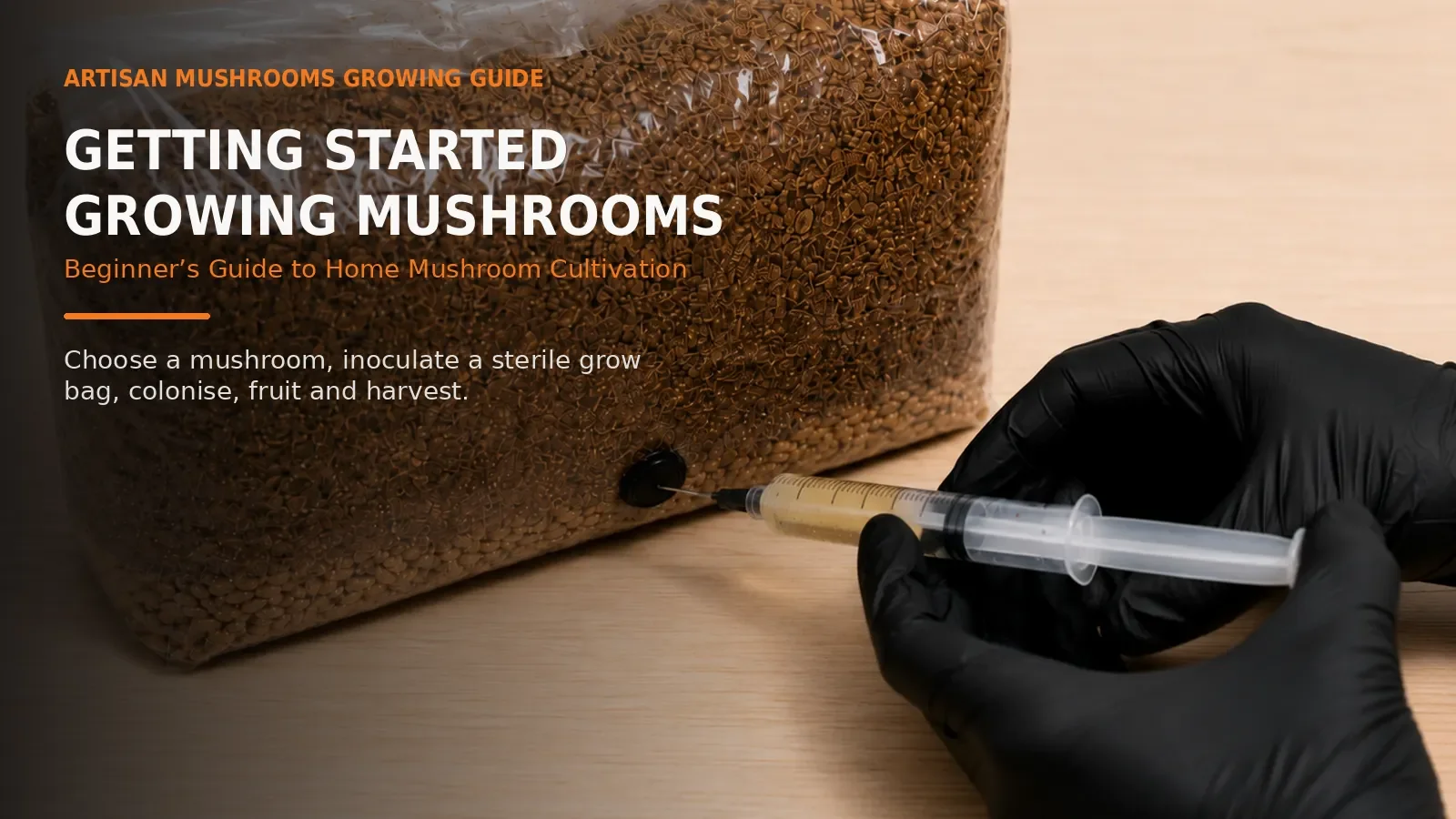 Getting Started Growing Mushrooms: Beginner's Guide to Home Mushroom Cultivation