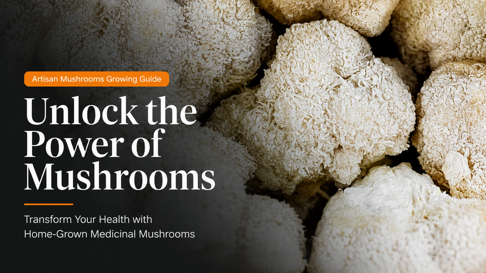Unlock the Power of Mushrooms: Transform Your Health with Home-Grown Medicinal Mushrooms