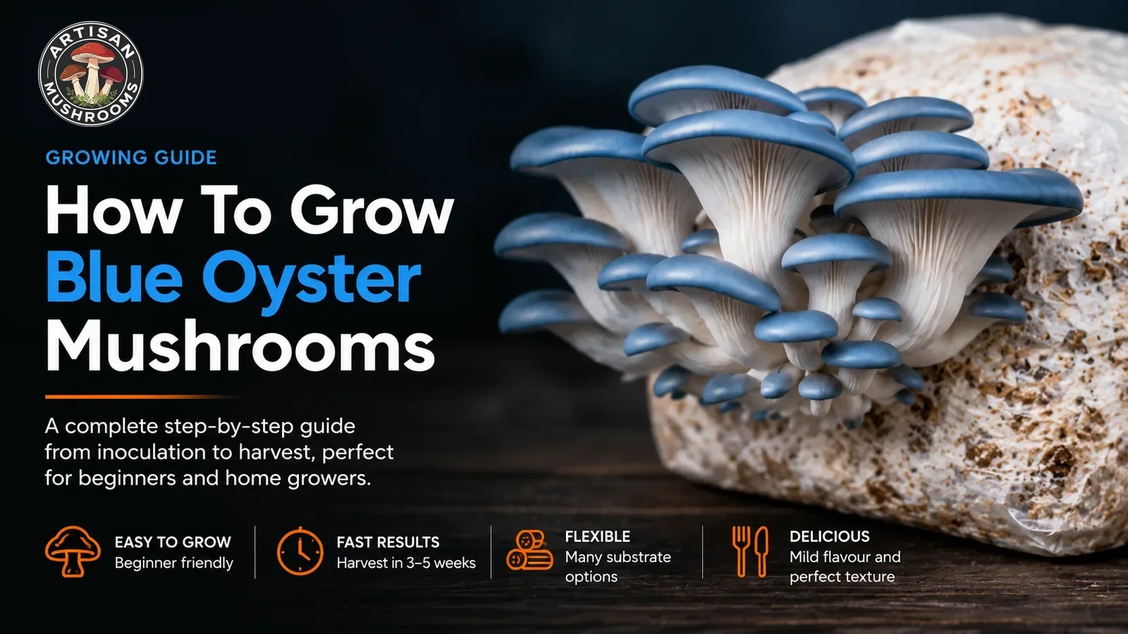 How To Grow Blue Oyster Mushrooms: Complete Growing Guide