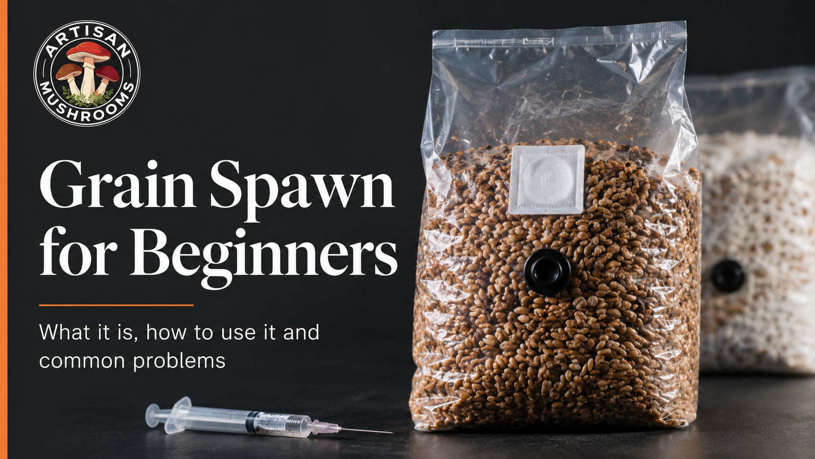 Grain Spawn for Beginners: What It Is, How to Use It and Common Problems