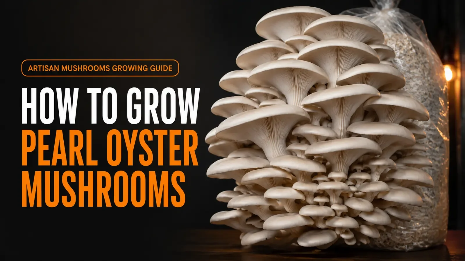 How to Grow Pearl Oyster Mushrooms: Complete Beginner’s Guide