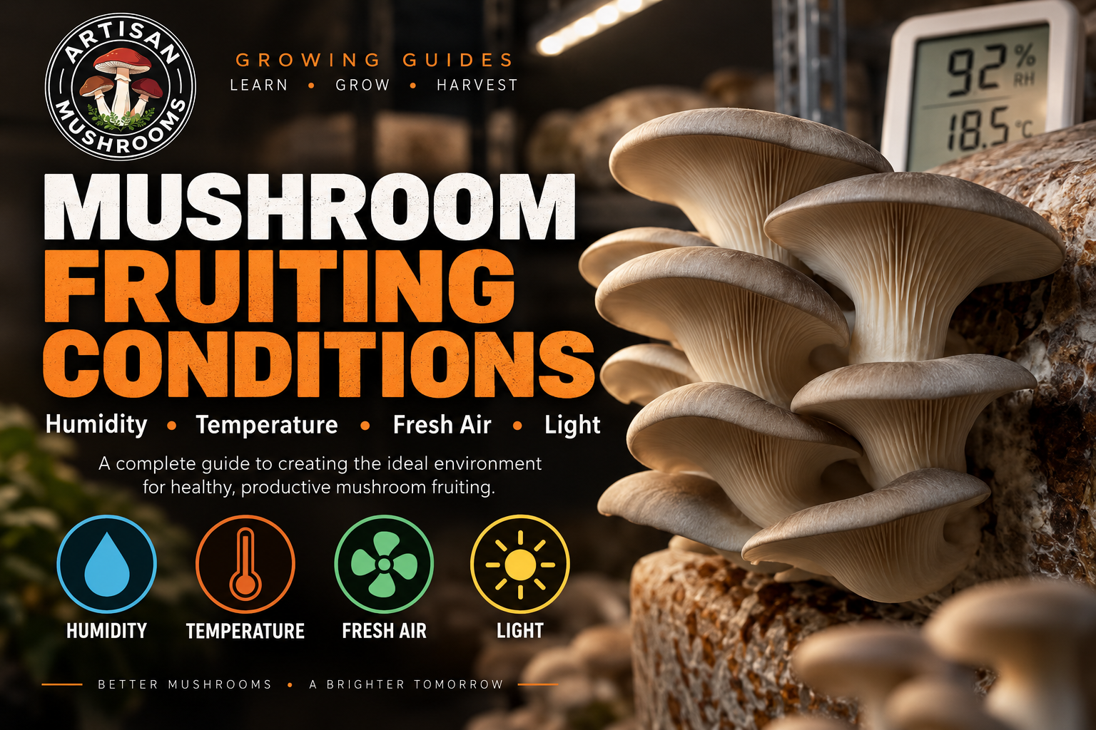 Mushroom Fruiting Conditions: Humidity, Temperature, Fresh Air &amp; Light