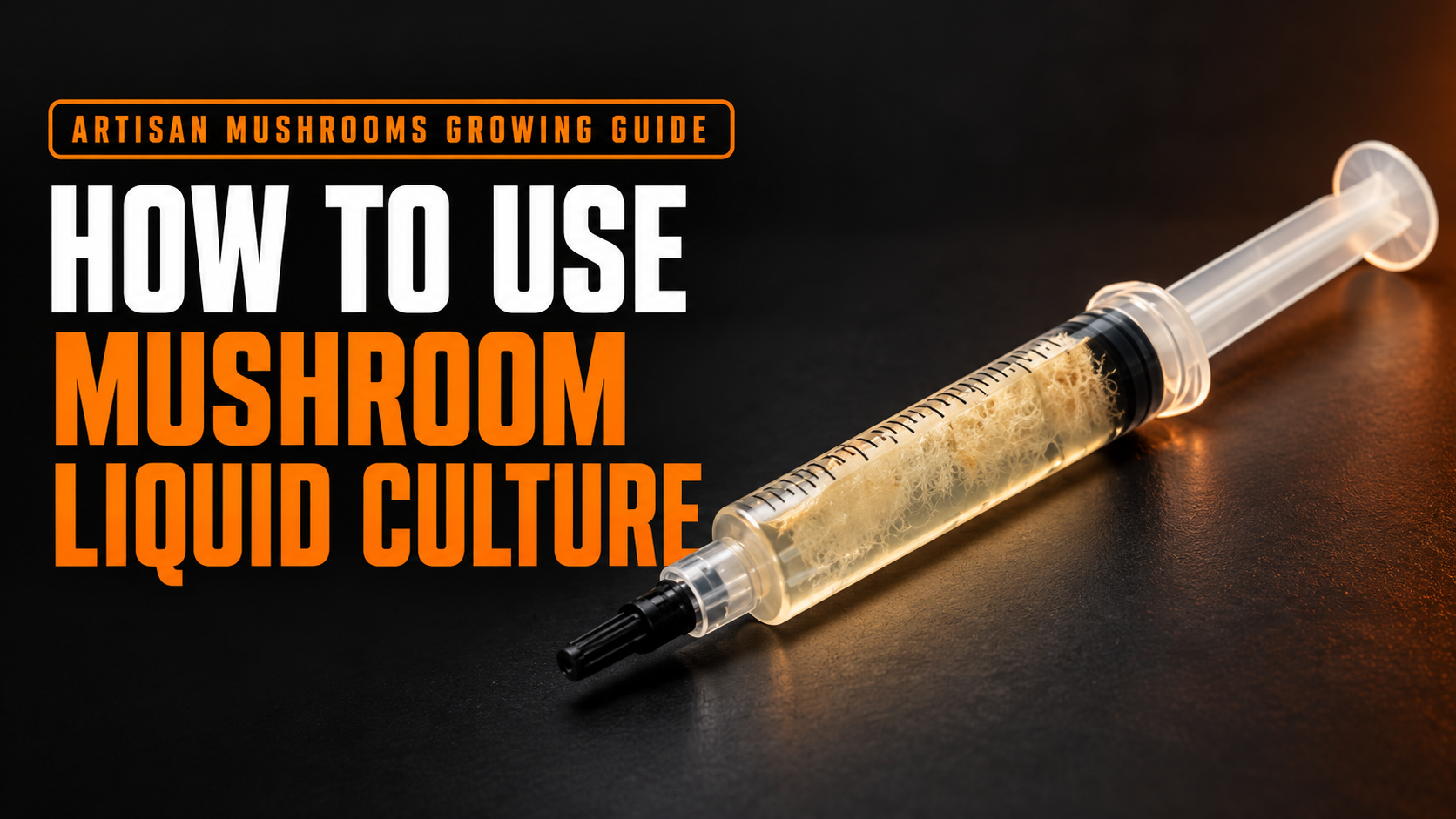 How to Use Mushroom Liquid Culture: Complete Beginner’s Guide