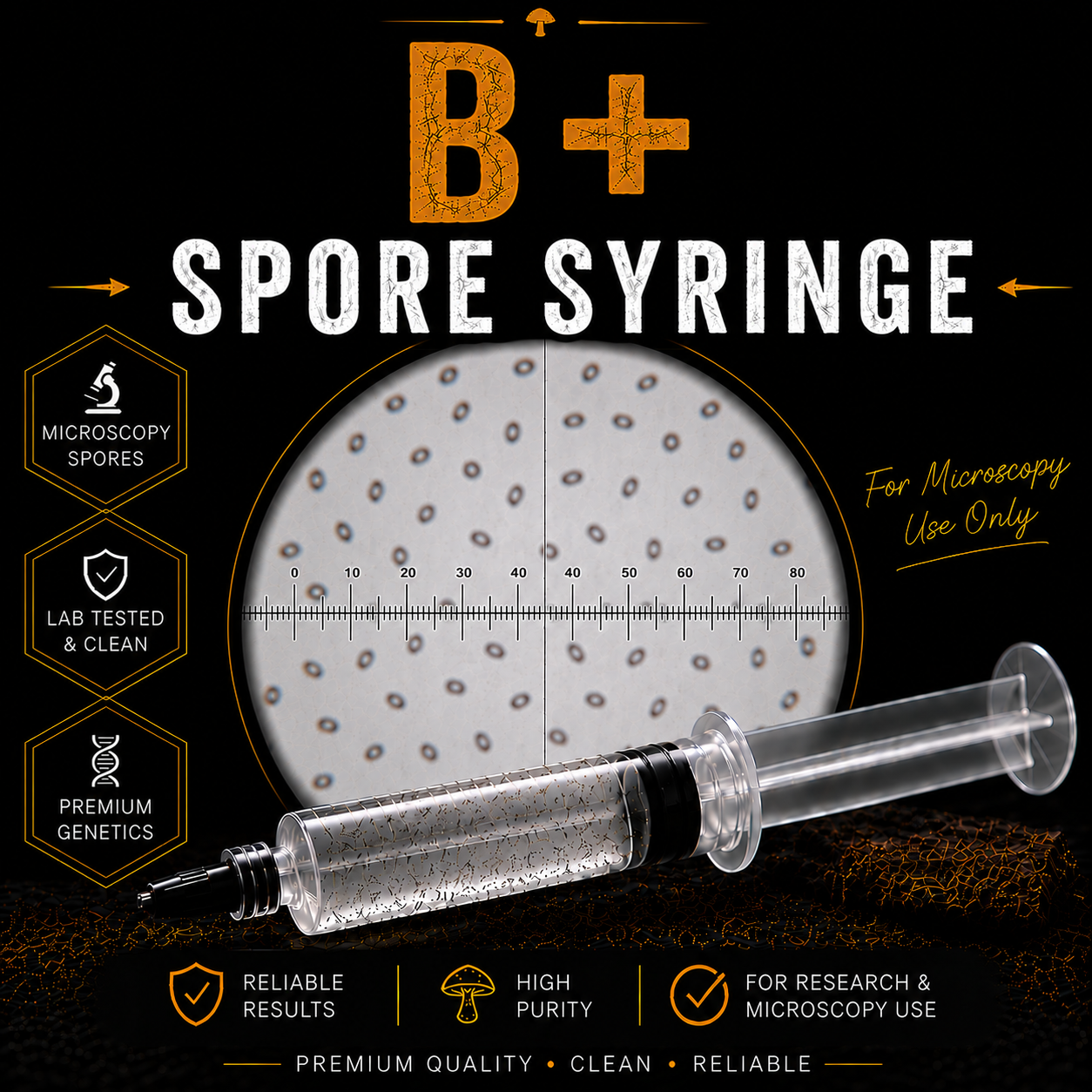 B+ Cubensis Spores