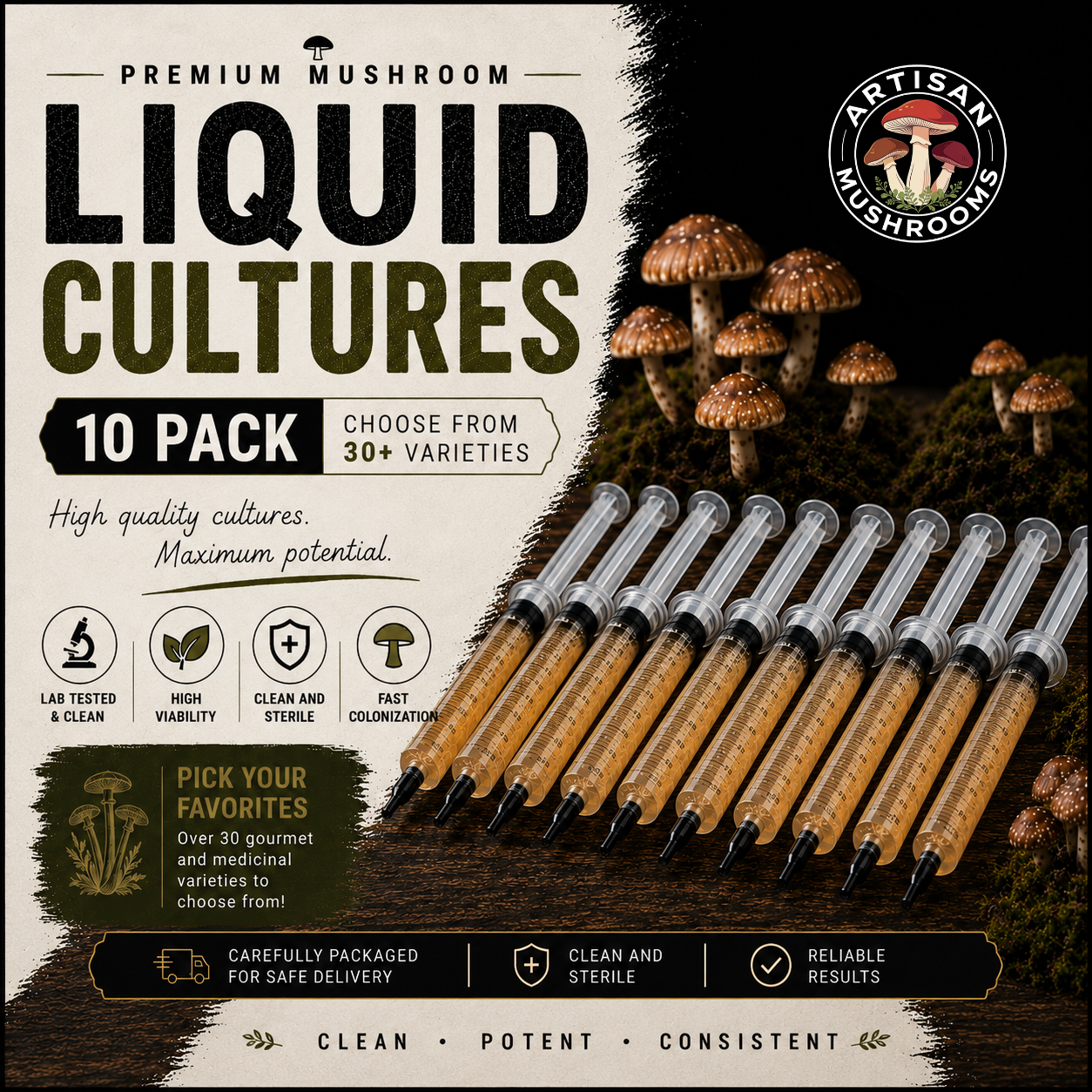 10 Mushroom Liquid Cultures