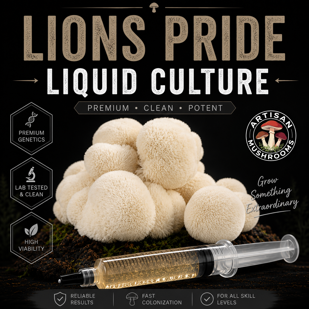 Lion's Mane (Lion's Pride)