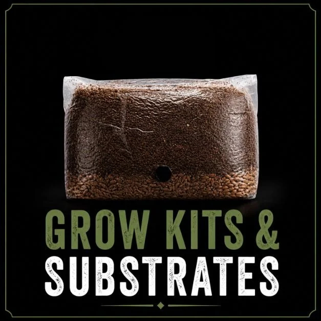 Mushroom grow kits and ready-to-fruit substrates for home and commercial cultivation.