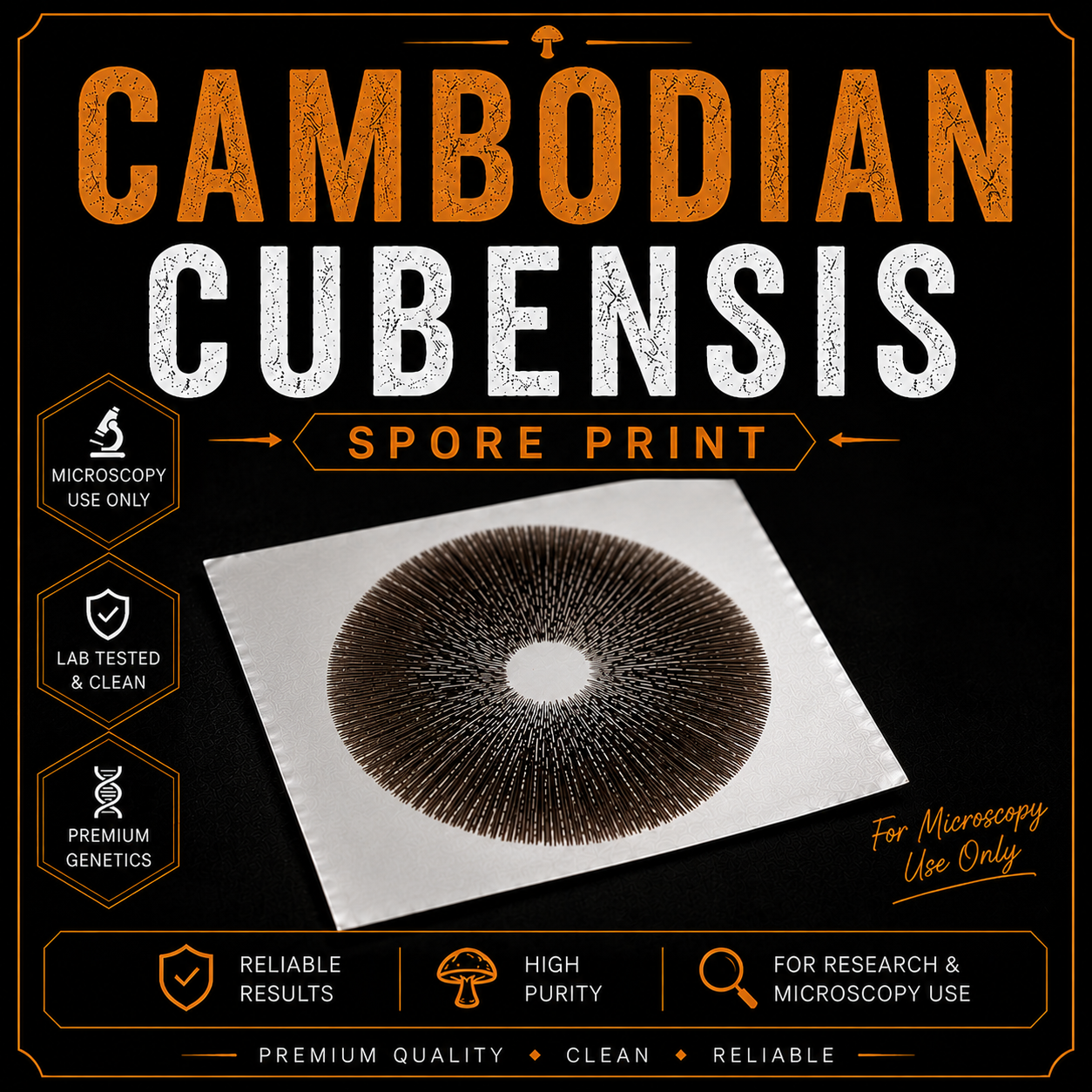Cambodian Cubensis spore print on sterile foil for microscopy and taxonomy research