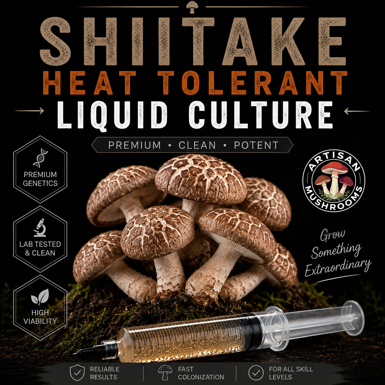 Shiitake Heat Tolerant