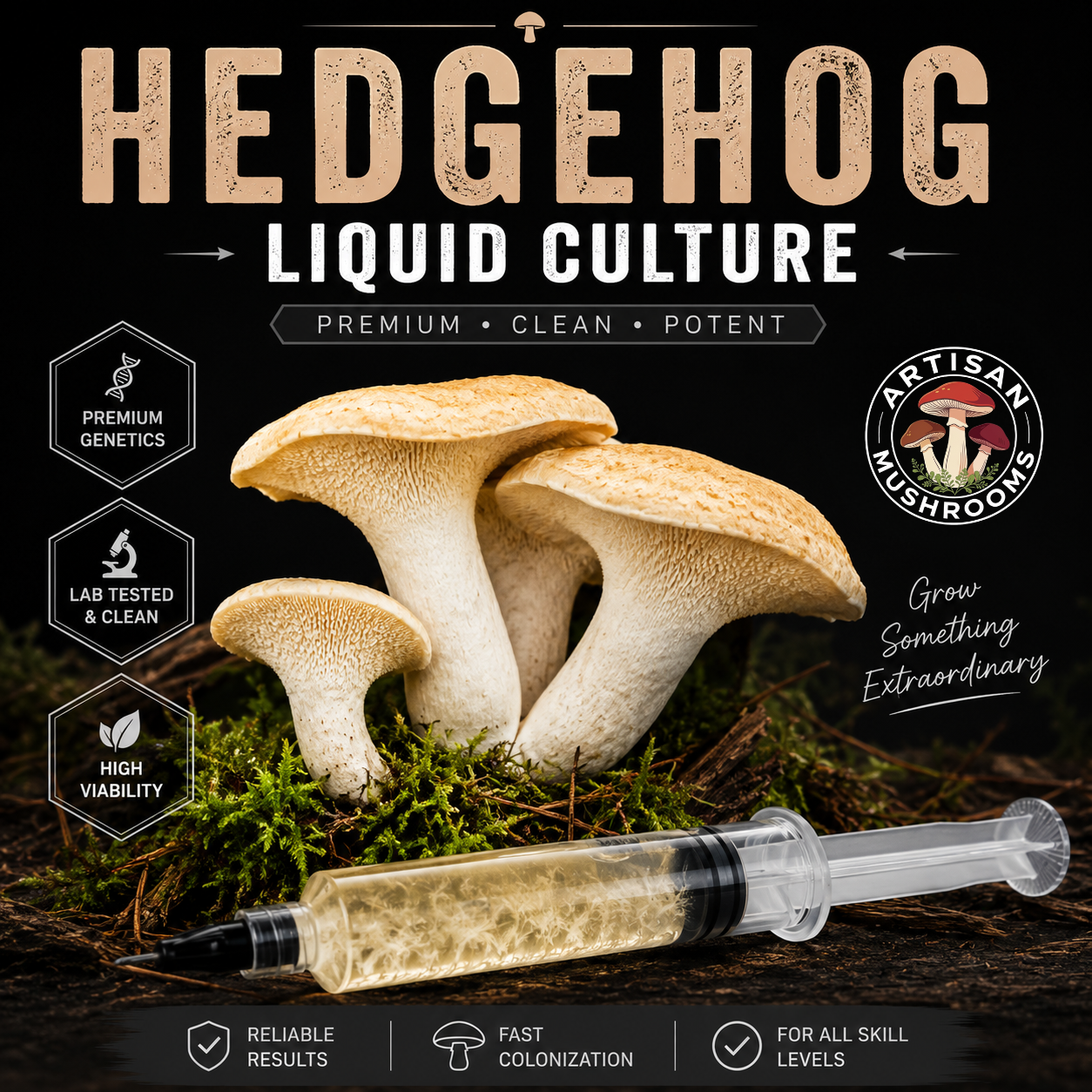 Hedgehog