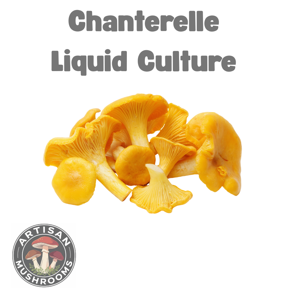 Chanterelle Etsy.png