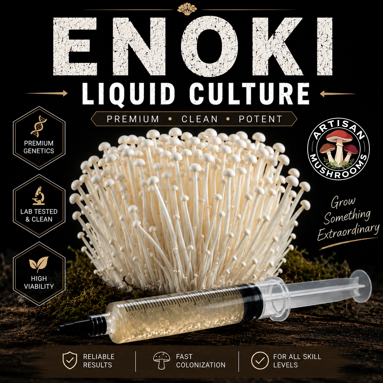 Enoki