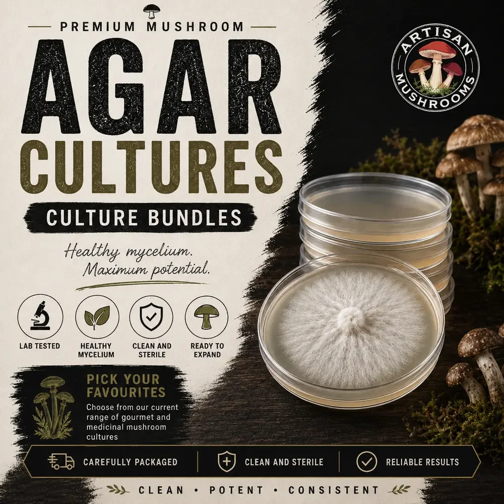 agar-culture-bundles.webp (Copy) (Copy)