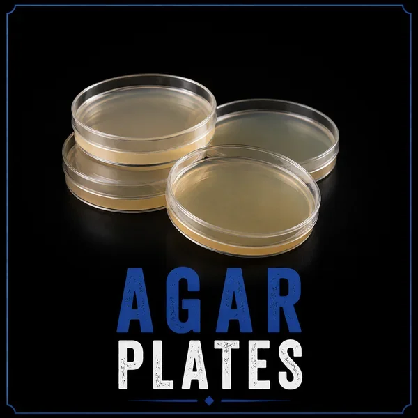 Sterile agar plates for mushroom culture work, cloning, isolation and laboratory use.