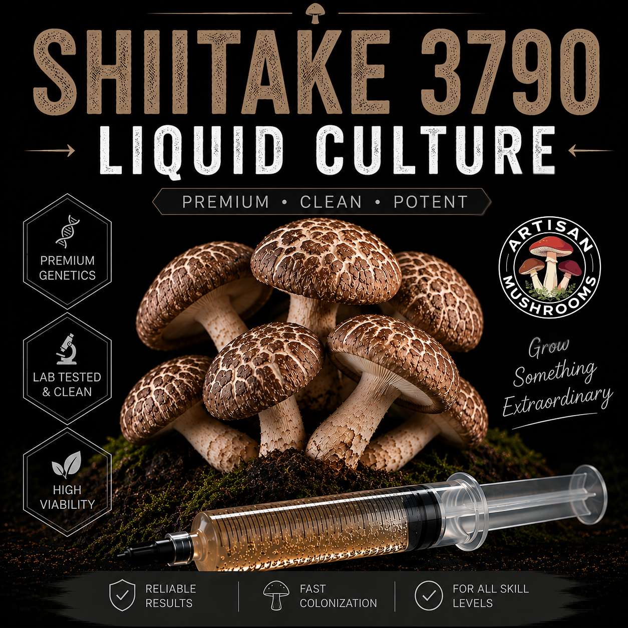 Shiitake 3790