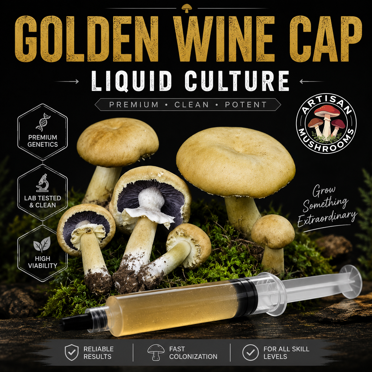 Golden Wine Cap