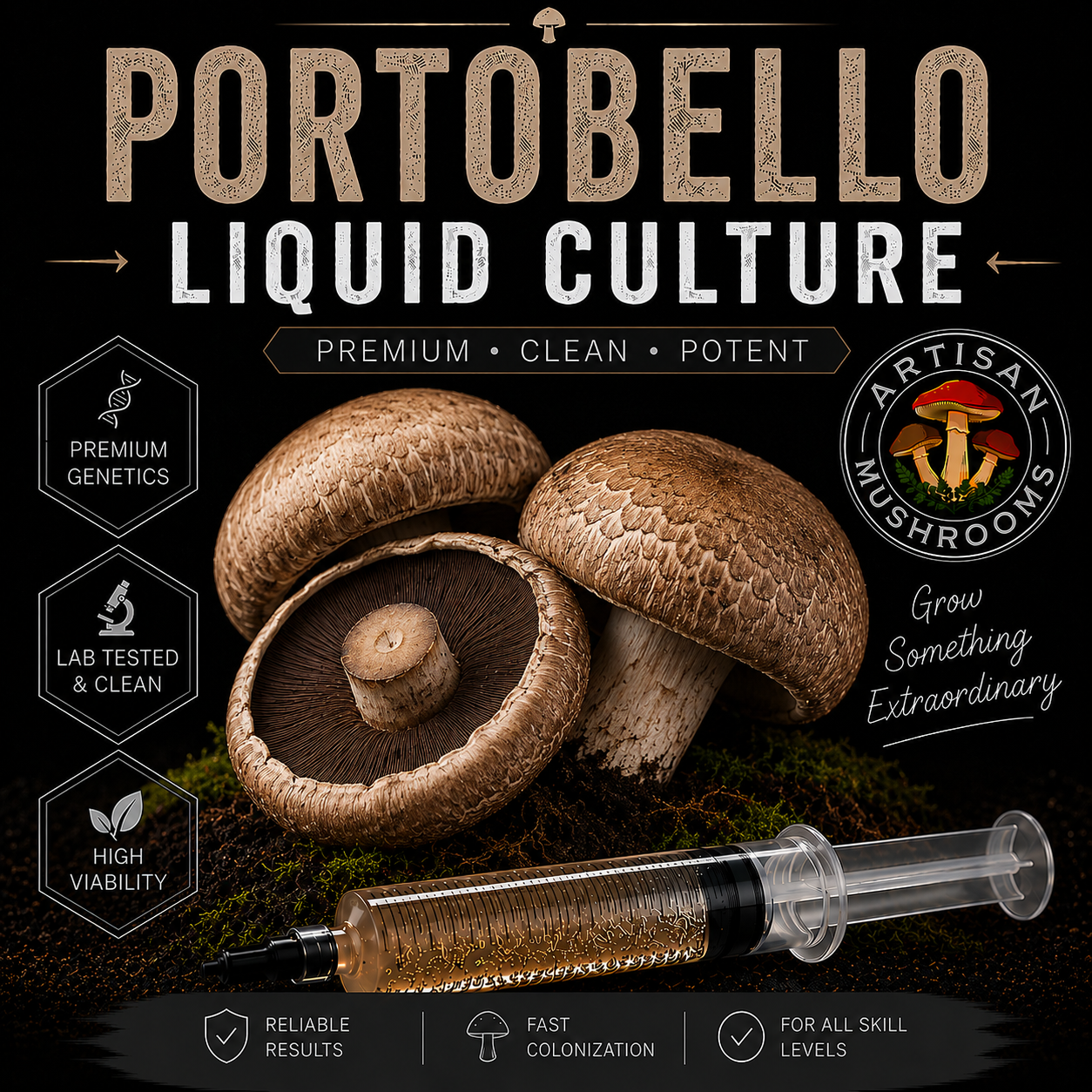 Portobello mushroom liquid culture syringe with active Agaricus bisporus mycelium