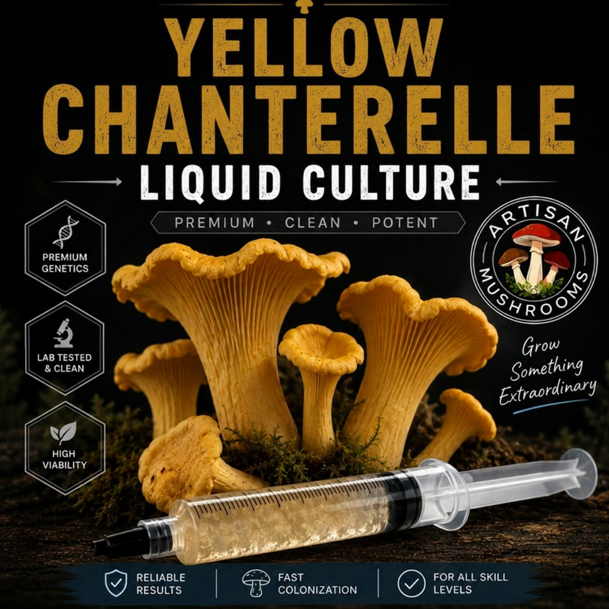 Yellow Chanterelle