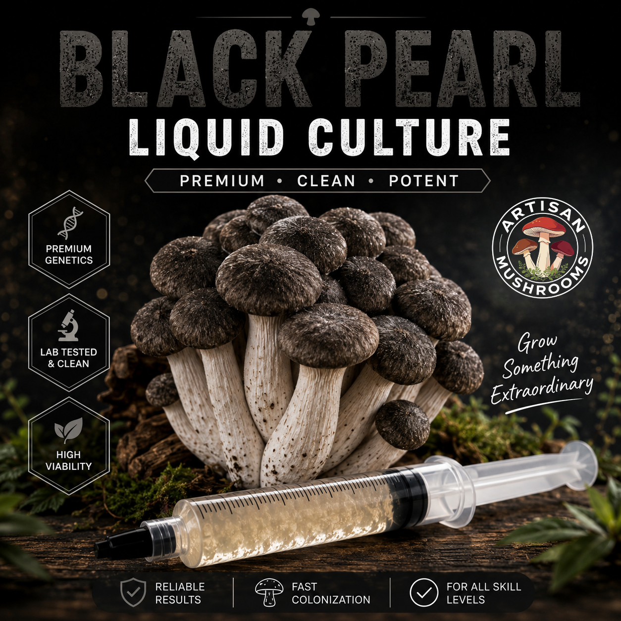 Black Pearl Oyster