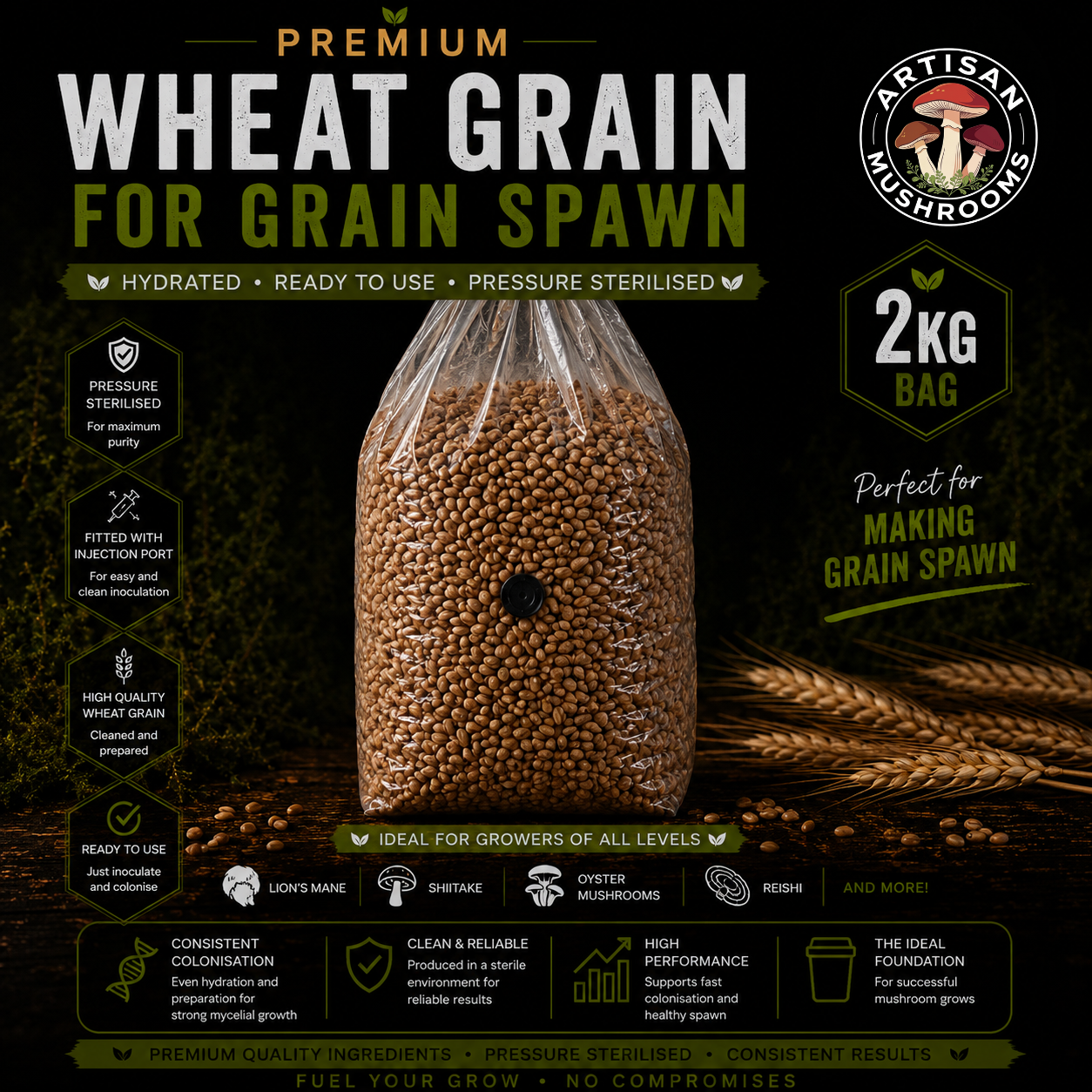2kg Sterilised Wheat Grain Spawn Bag with Injection Port