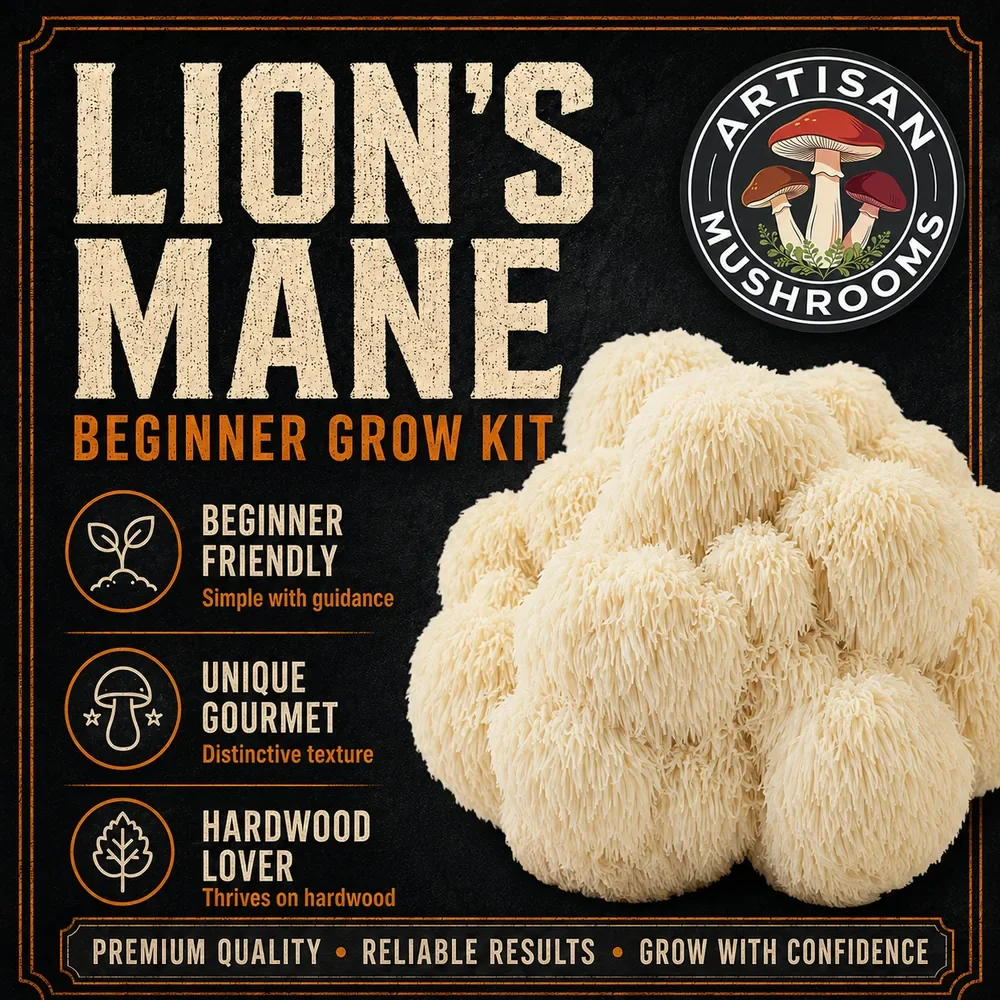 Alt text: Lion’s Mane mushrooms available with the Artisan Mushrooms Beginner Mushroom Grow Kit