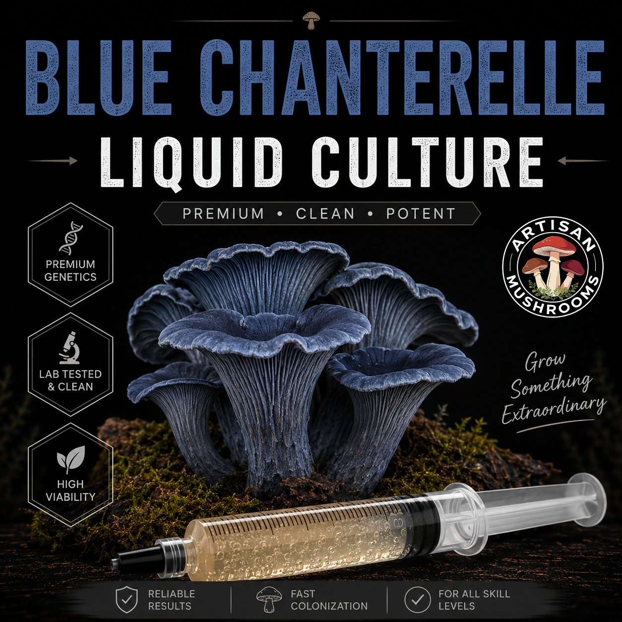 Blue Chanterelle