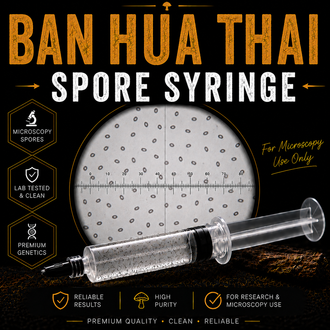 Ban Hua Thai Cubensis Spores
