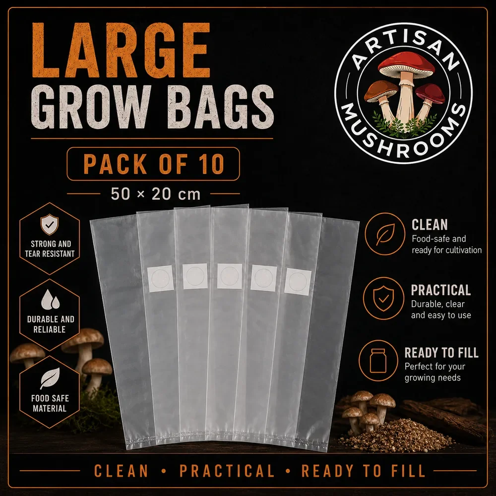 Pack of ten large clear mushroom grow bags measuring 32 × 45 cm with breathable filter patches